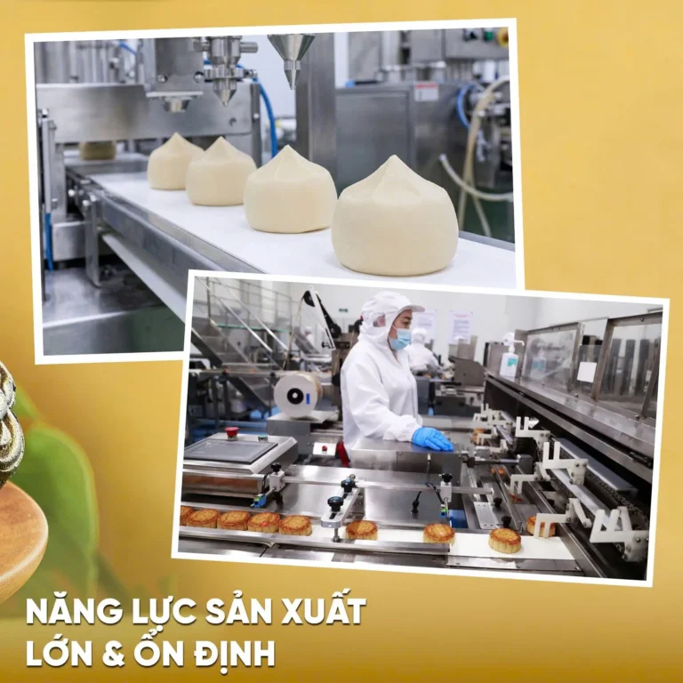 Chứng nhận chất lượng SOLRA - hình 5